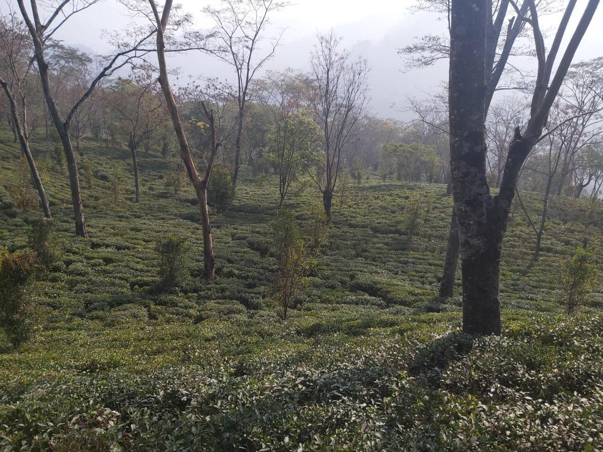 Eviana Homestay Darjeeling  Exterior foto