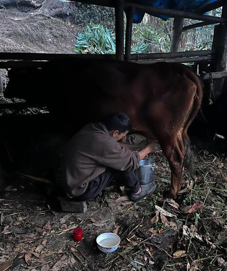 Eviana Homestay Darjeeling  Exterior foto